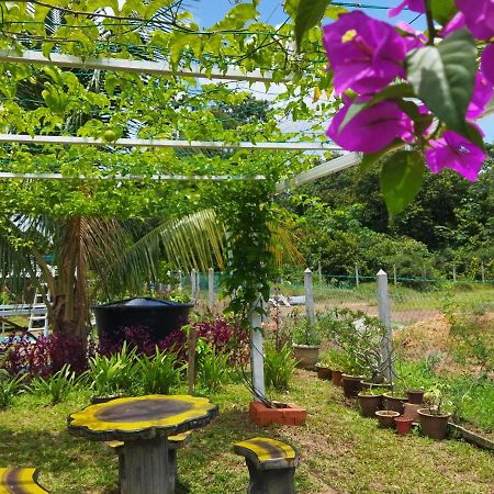 Tehel Farmhouse Malacca ภายนอก รูปภาพ